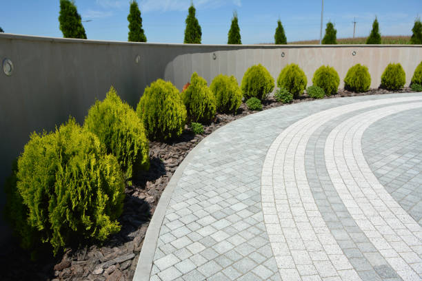 Oroville, CA Driveway Pavers Company